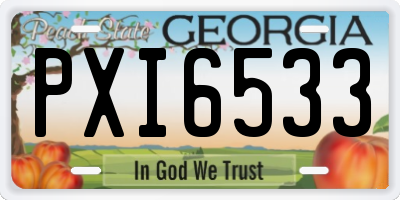 GA license plate PXI6533