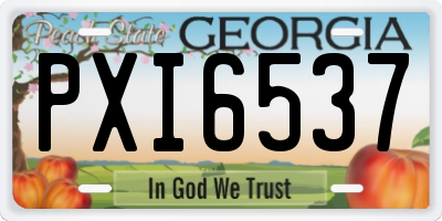 GA license plate PXI6537