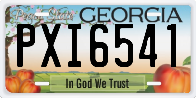 GA license plate PXI6541