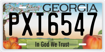 GA license plate PXI6547