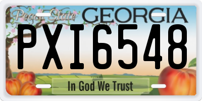 GA license plate PXI6548