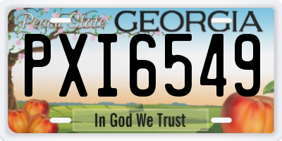 GA license plate PXI6549