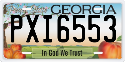 GA license plate PXI6553
