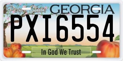 GA license plate PXI6554