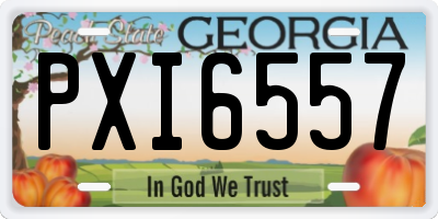 GA license plate PXI6557