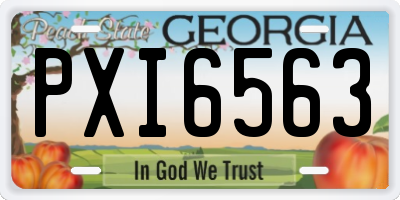 GA license plate PXI6563