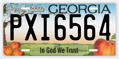 GA license plate PXI6564