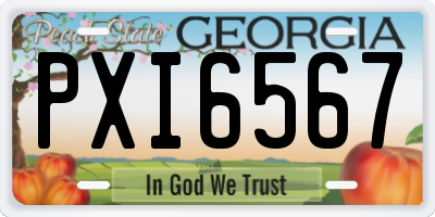 GA license plate PXI6567