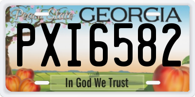 GA license plate PXI6582