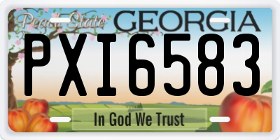 GA license plate PXI6583