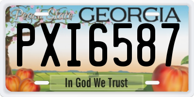 GA license plate PXI6587