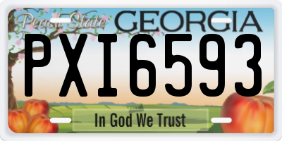 GA license plate PXI6593