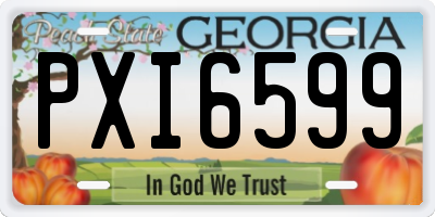 GA license plate PXI6599