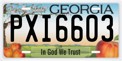 GA license plate PXI6603