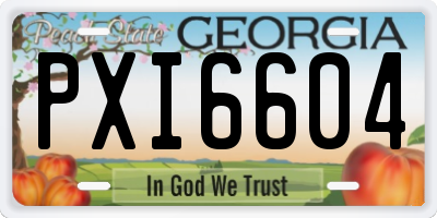 GA license plate PXI6604