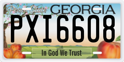 GA license plate PXI6608