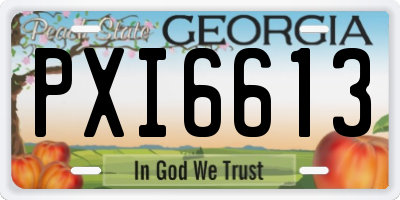 GA license plate PXI6613