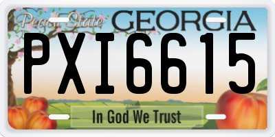 GA license plate PXI6615