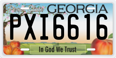 GA license plate PXI6616