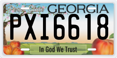 GA license plate PXI6618