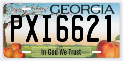 GA license plate PXI6621