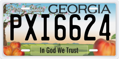 GA license plate PXI6624