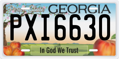 GA license plate PXI6630