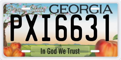 GA license plate PXI6631
