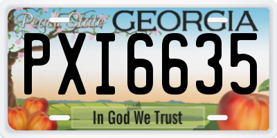 GA license plate PXI6635