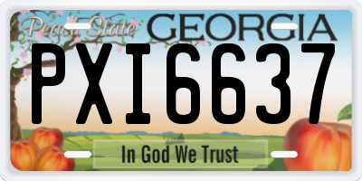 GA license plate PXI6637
