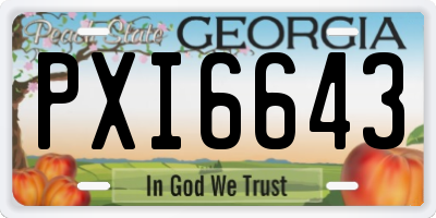 GA license plate PXI6643