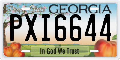 GA license plate PXI6644