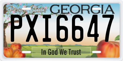 GA license plate PXI6647
