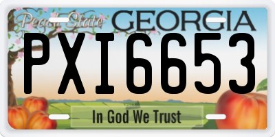 GA license plate PXI6653