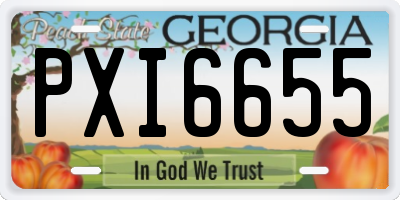 GA license plate PXI6655