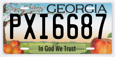 GA license plate PXI6687