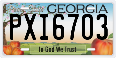 GA license plate PXI6703