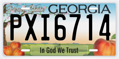 GA license plate PXI6714