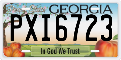 GA license plate PXI6723