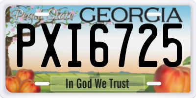 GA license plate PXI6725