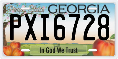 GA license plate PXI6728
