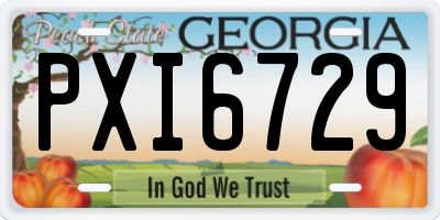 GA license plate PXI6729