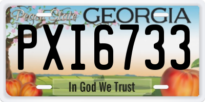 GA license plate PXI6733