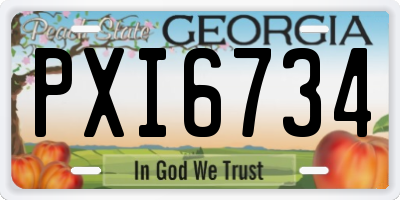 GA license plate PXI6734
