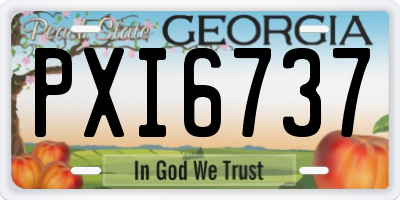 GA license plate PXI6737