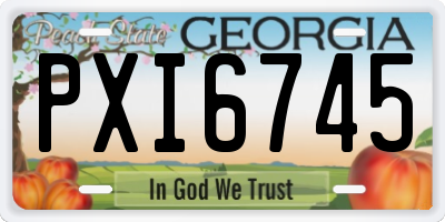 GA license plate PXI6745