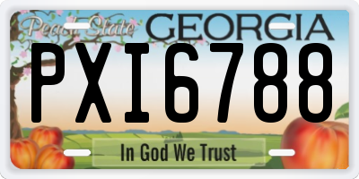 GA license plate PXI6788