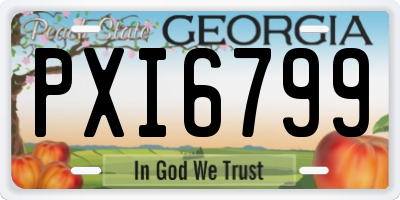 GA license plate PXI6799