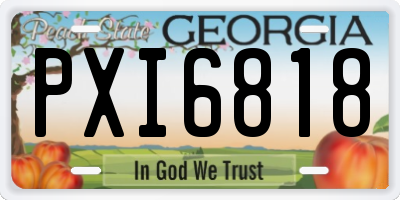 GA license plate PXI6818