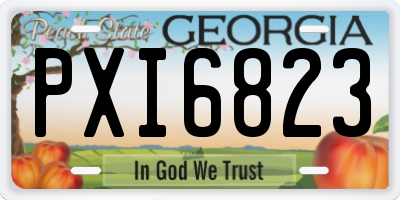 GA license plate PXI6823